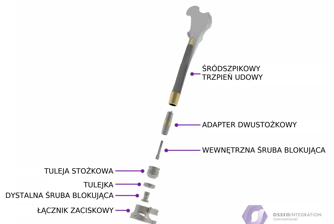 Budowa OPL-CC: trzpień udowy, adapter dwustożkowy, śruby blokujące, tuleja stożkowa, tulejka i łącznik zaciskowy